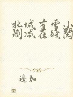 北城有雪小说无删减在线阅读
