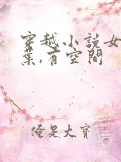 穿越小说女主姓叶,有空间