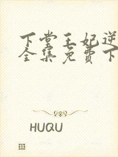 下堂王妃逆袭记全集免费下载