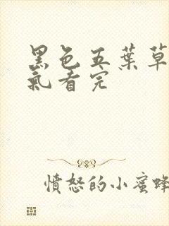 黑色五叶草一口气看完