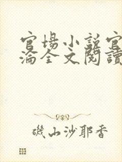 官场小说官路沉沦全文阅读