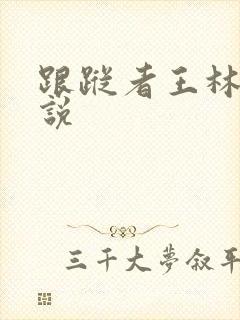 跟踪者王林的小说