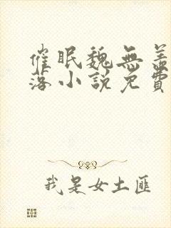 催眠魏无羡的堕落小说免费阅读