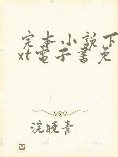 完本小说下载txt电子书免费下载全本