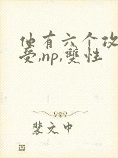 他有六个攻【总受,np,双性