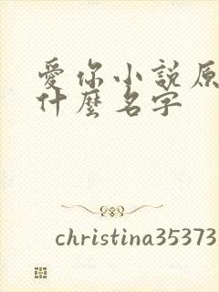 爱你小说原著叫什么名字