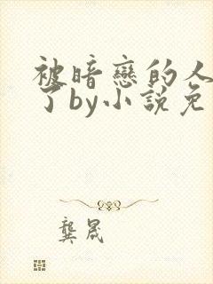 被暗恋的人俘虏了by小说免费阅读