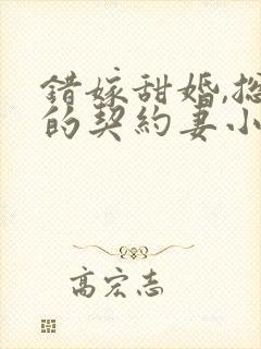 错嫁甜婚,总裁的契约妻小说