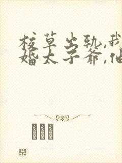 校草出轨,我闪婚太子爷,他疯了