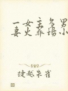 一女主多男主追妻火葬场小说