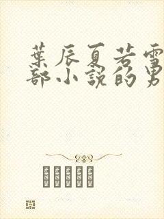 叶辰夏若雪是哪部小说的男主角