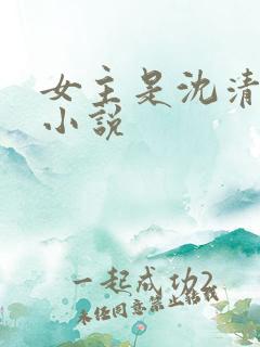 女主是沈清婉的小说