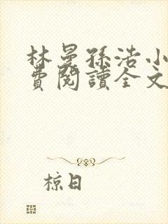 林曼孙浩小说免费阅读全文最新章节