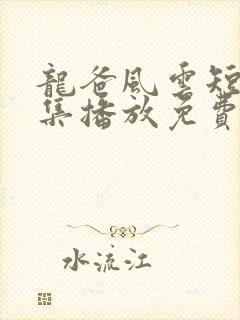 龙爸风云短剧全集播放免费观看高清