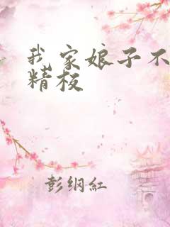 我家娘子不对劲精校