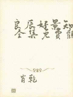 良辰好景知几何 全集免费观看