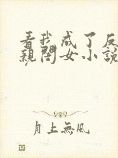 看我成了反派的亲闺女小说