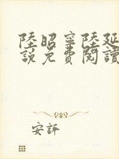 陆昭宁陆延骁小说免费阅读最新章节