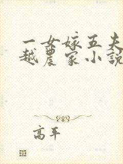 一女嫁五夫的穿越农家小说