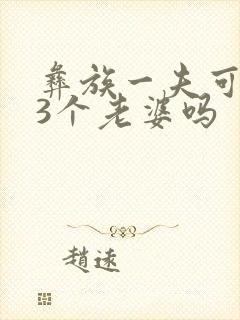 彝族一夫可以娶3个老婆吗