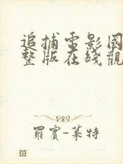 追捕电影国语完整版在线观看免费