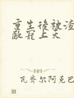 重生后被渣男死敌宠上天