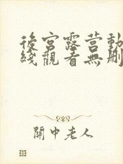 后宫露营动漫在线观看无删减