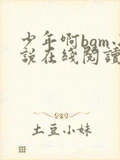 少年啊bgm小说在线阅读免费