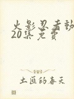 火影忍者动画720集免费