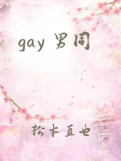 gay 男同