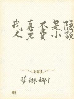 我真不是隐世高人免费小说