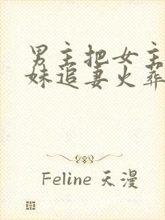 男主把女主当妹妹追妻火葬场