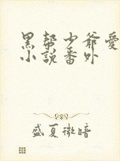 黑帮少爷爱上我小说番外