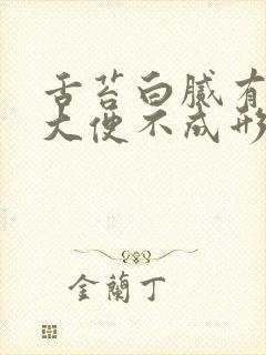 舌苔白腻有齿痕大便不成形