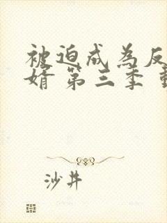 被迫成为反派赘婿 第三季 动画片全集