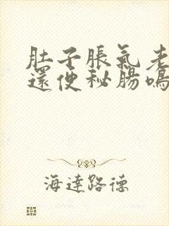 肚子胀气老放屁还便秘肠鸣