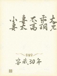 小妻不乖大佬宠妻太高调免费阅读