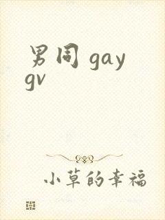 男同 gay gv