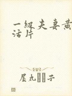 一级夫妻黄色生活片