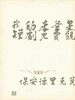 我的老爸是保安短剧免费观看29集