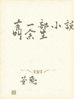 有一部小说主角叫余生