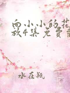 向小小的花蕾绽放4集免费观看