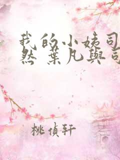 我的小姨司空嫣然 叶凡与司空嫣然章节