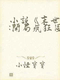 小说《末世重生:开局疯狂囤积物资》