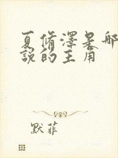 夏修泽是哪本小说的主角