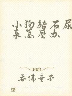 小狗结石尿不出来怎么办