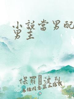 小说当男配掰弯男主