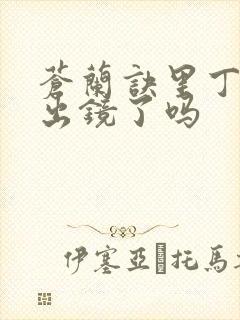 苍兰诀里丁禹兮出镜了吗