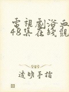 电视剧浴血红颜48集在线观看