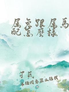 属兔跟属马的婚配怎么样